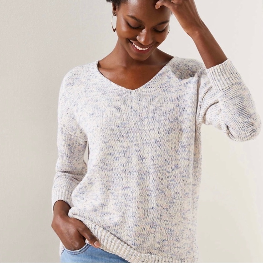 Loft Marled V-Neck Sweater.
